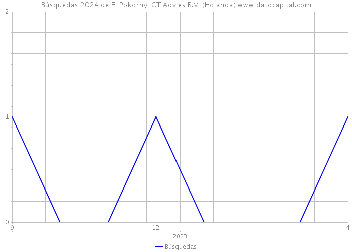 Búsquedas 2024 de E. Pokorny ICT Advies B.V. (Holanda) 