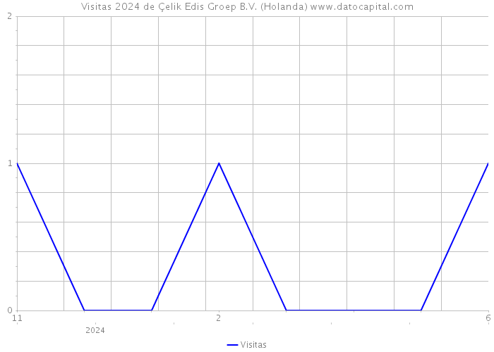 Visitas 2024 de Çelik Edis Groep B.V. (Holanda) 