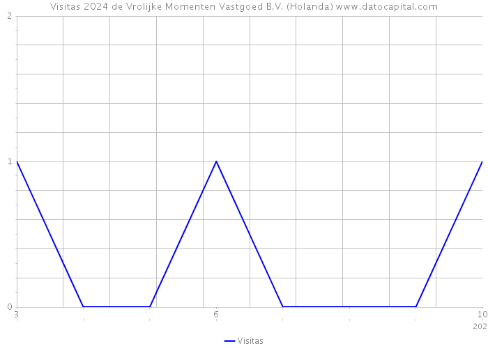 Visitas 2024 de Vrolijke Momenten Vastgoed B.V. (Holanda) 