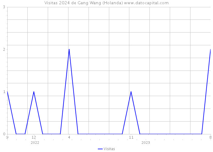 Visitas 2024 de Gang Wang (Holanda) 