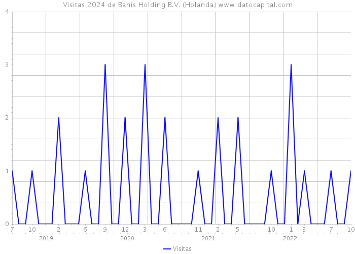 Visitas 2024 de Banis Holding B.V. (Holanda) 