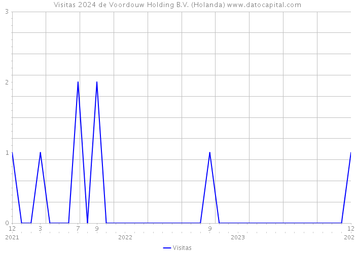 Visitas 2024 de Voordouw Holding B.V. (Holanda) 