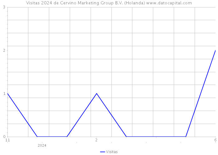 Visitas 2024 de Cervino Marketing Group B.V. (Holanda) 