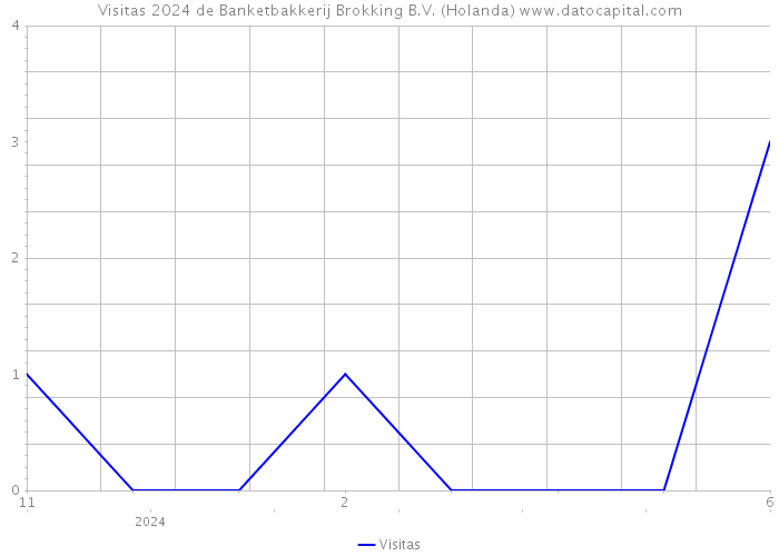 Visitas 2024 de Banketbakkerij Brokking B.V. (Holanda) 