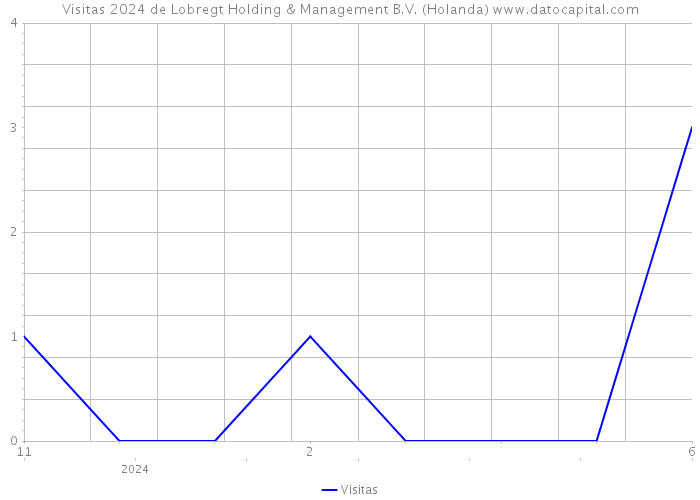 Visitas 2024 de Lobregt Holding & Management B.V. (Holanda) 