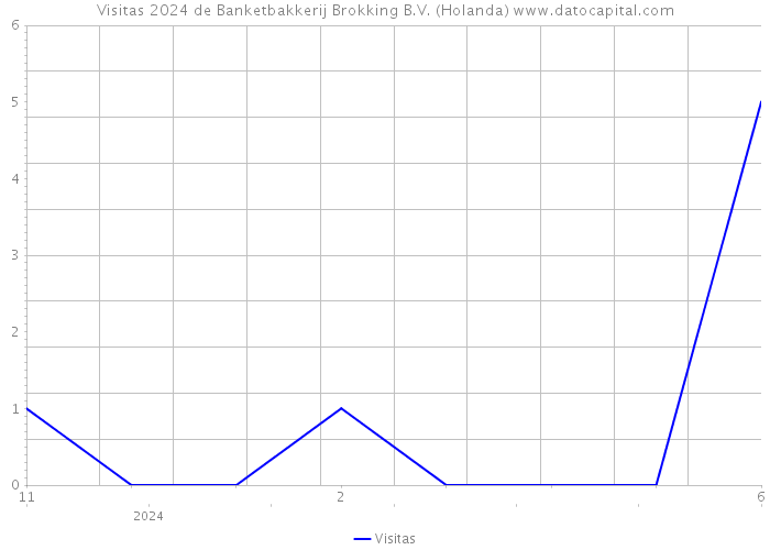 Visitas 2024 de Banketbakkerij Brokking B.V. (Holanda) 