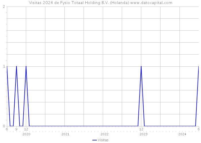 Visitas 2024 de Fysio Totaal Holding B.V. (Holanda) 