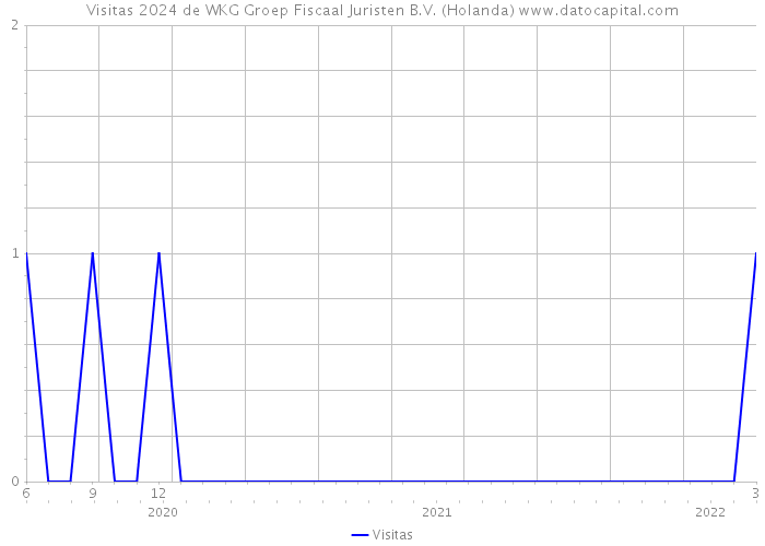 Visitas 2024 de WKG Groep Fiscaal Juristen B.V. (Holanda) 