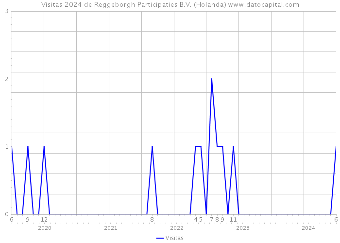 Visitas 2024 de Reggeborgh Participaties B.V. (Holanda) 