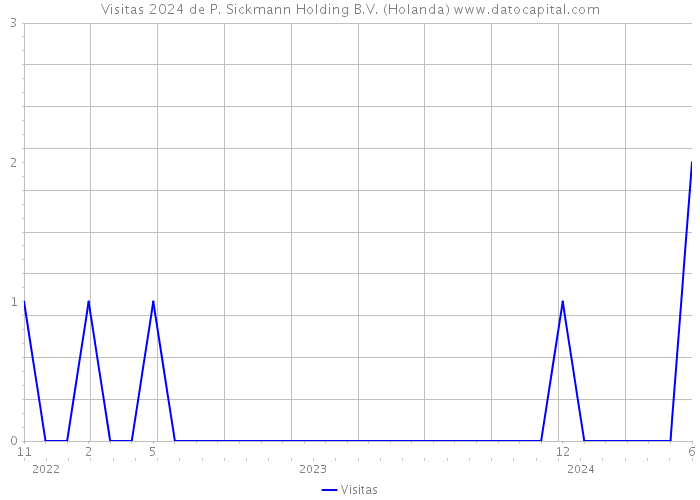 Visitas 2024 de P. Sickmann Holding B.V. (Holanda) 