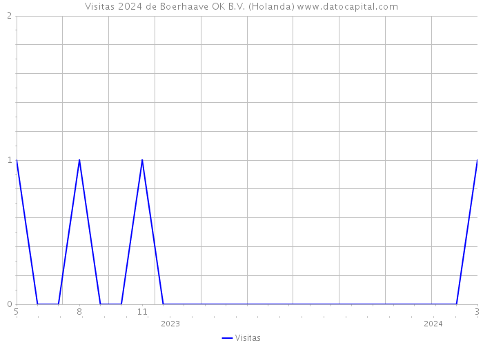 Visitas 2024 de Boerhaave OK B.V. (Holanda) 