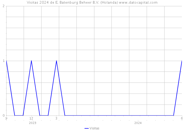 Visitas 2024 de E. Batenburg Beheer B.V. (Holanda) 