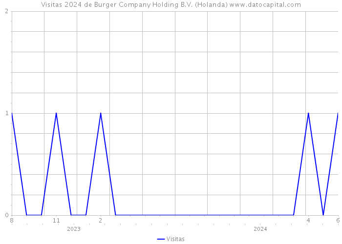 Visitas 2024 de Burger Company Holding B.V. (Holanda) 