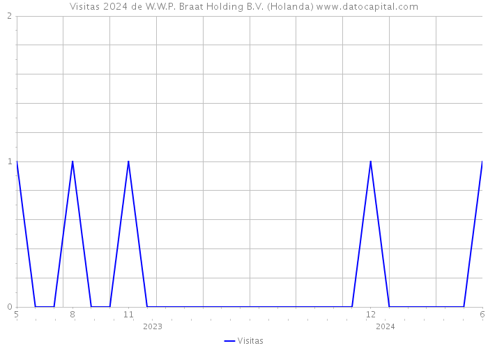 Visitas 2024 de W.W.P. Braat Holding B.V. (Holanda) 