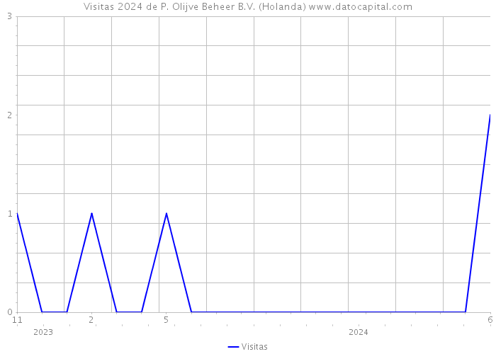 Visitas 2024 de P. Olijve Beheer B.V. (Holanda) 