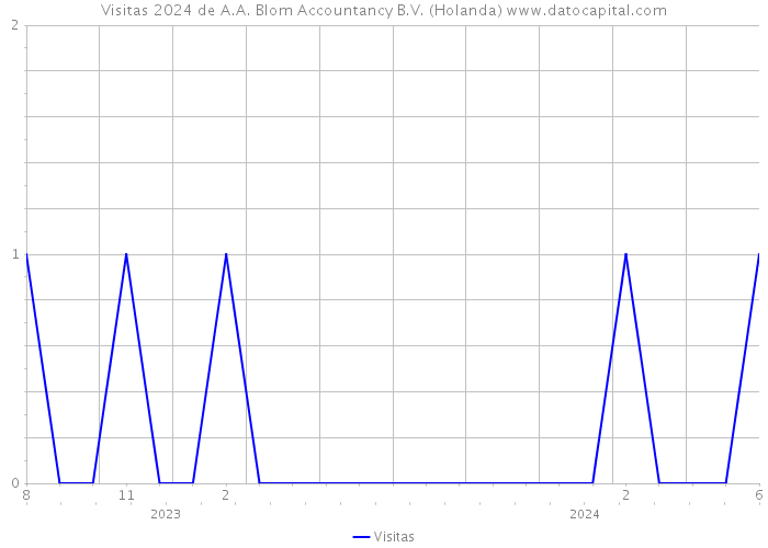 Visitas 2024 de A.A. Blom Accountancy B.V. (Holanda) 