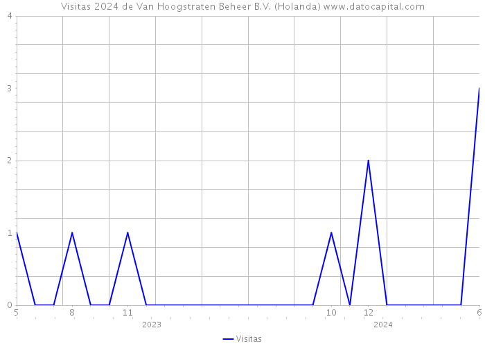 Visitas 2024 de Van Hoogstraten Beheer B.V. (Holanda) 