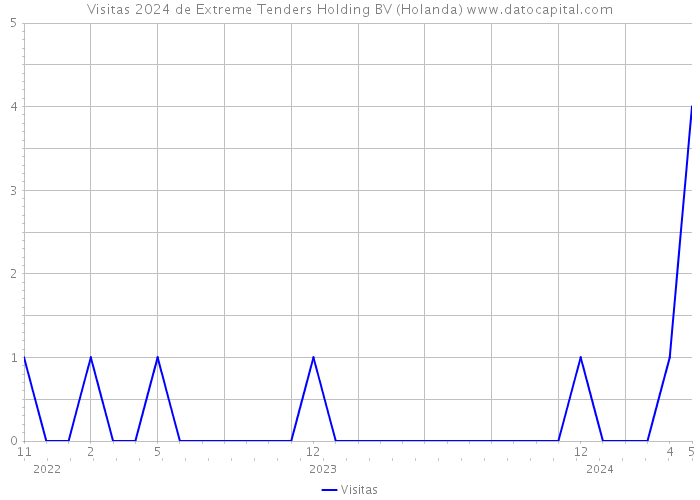 Visitas 2024 de Extreme Tenders Holding BV (Holanda) 