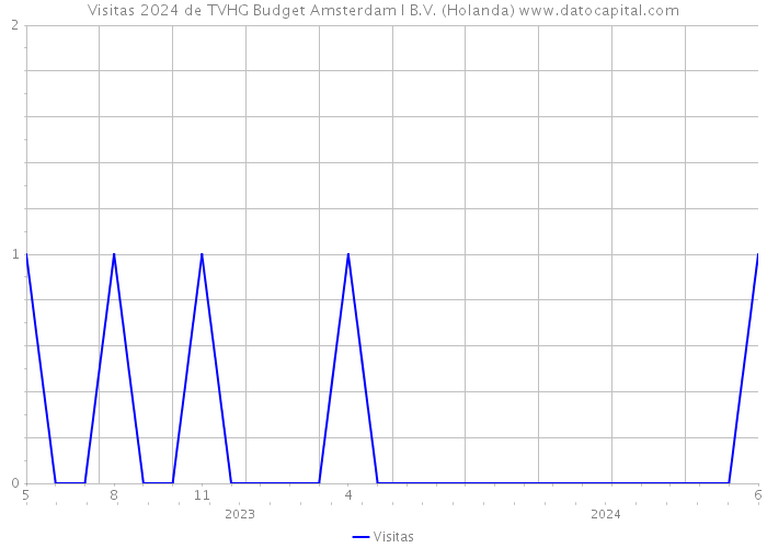 Visitas 2024 de TVHG Budget Amsterdam I B.V. (Holanda) 