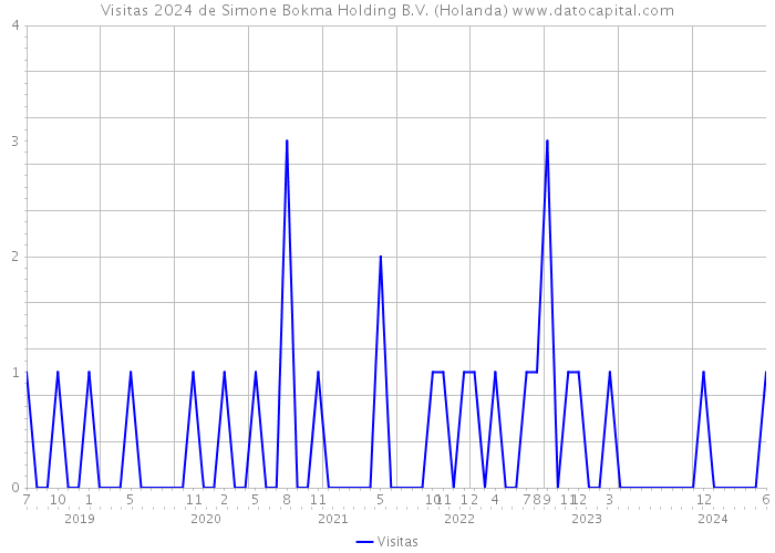 Visitas 2024 de Simone Bokma Holding B.V. (Holanda) 