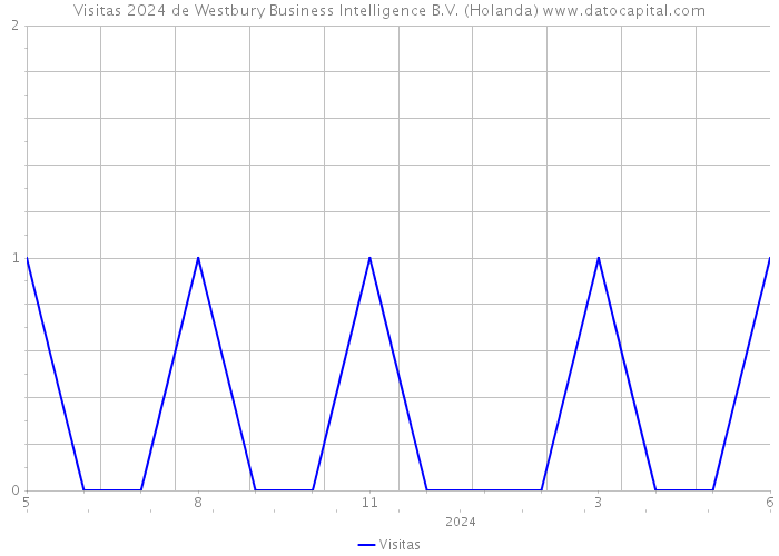 Visitas 2024 de Westbury Business Intelligence B.V. (Holanda) 