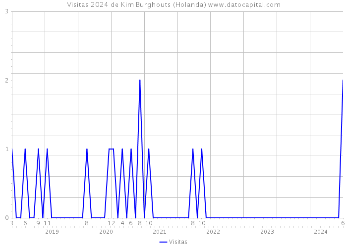 Visitas 2024 de Kim Burghouts (Holanda) 