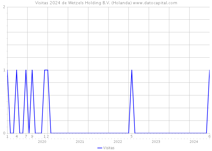 Visitas 2024 de Wetzels Holding B.V. (Holanda) 