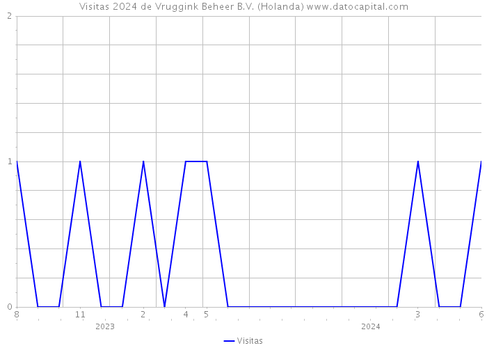 Visitas 2024 de Vruggink Beheer B.V. (Holanda) 