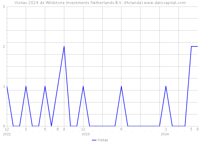 Visitas 2024 de Wildstone Investments Netherlands B.V. (Holanda) 