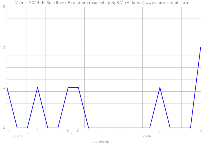 Visitas 2024 de Suselbeek Exploitatiemaatschappij B.V. (Holanda) 