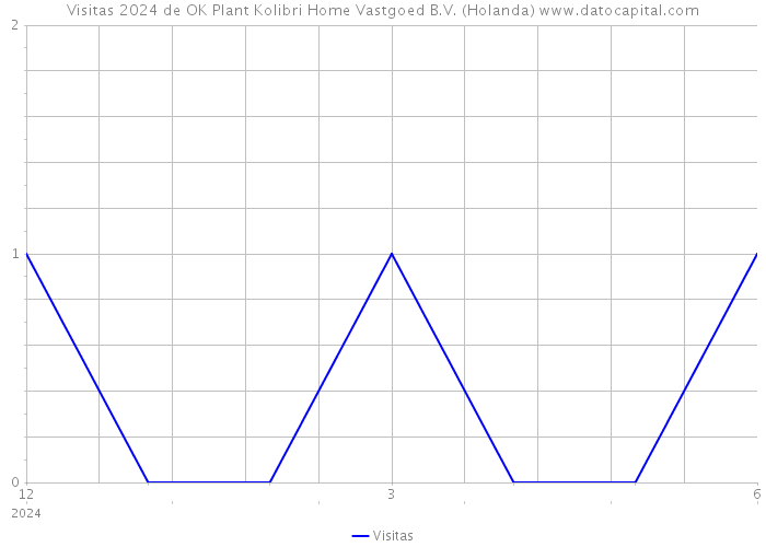 Visitas 2024 de OK Plant Kolibri Home Vastgoed B.V. (Holanda) 