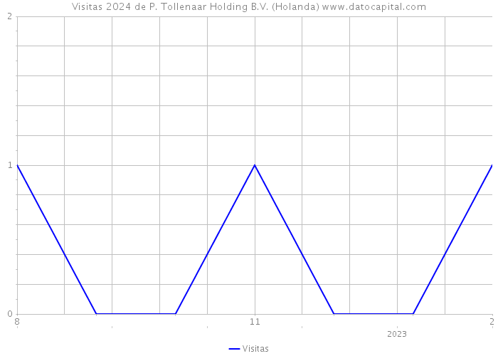 Visitas 2024 de P. Tollenaar Holding B.V. (Holanda) 