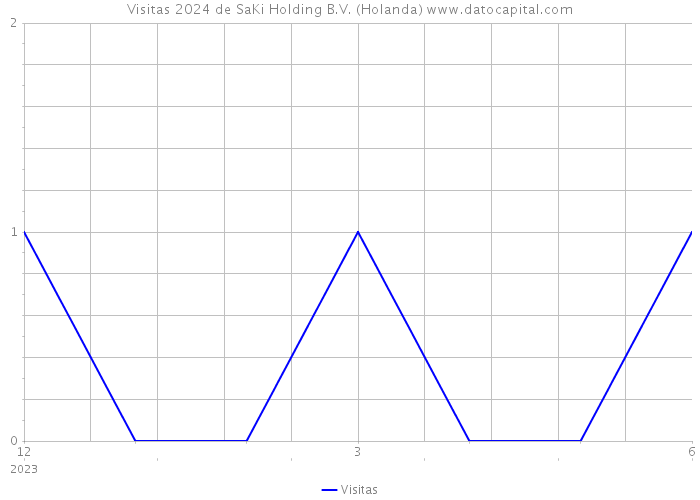 Visitas 2024 de SaKi Holding B.V. (Holanda) 