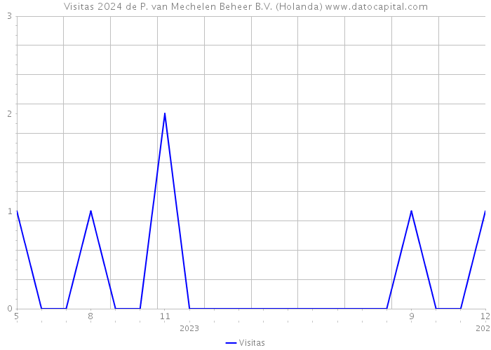 Visitas 2024 de P. van Mechelen Beheer B.V. (Holanda) 