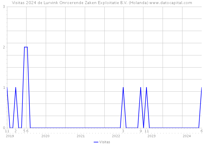 Visitas 2024 de Lurvink Onroerende Zaken Exploitatie B.V. (Holanda) 