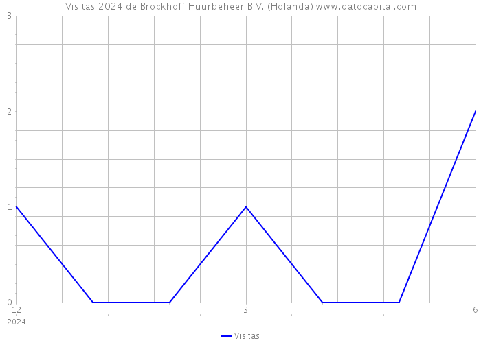 Visitas 2024 de Brockhoff Huurbeheer B.V. (Holanda) 