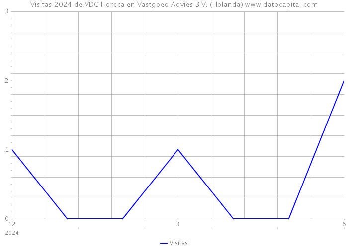 Visitas 2024 de VDC Horeca en Vastgoed Advies B.V. (Holanda) 