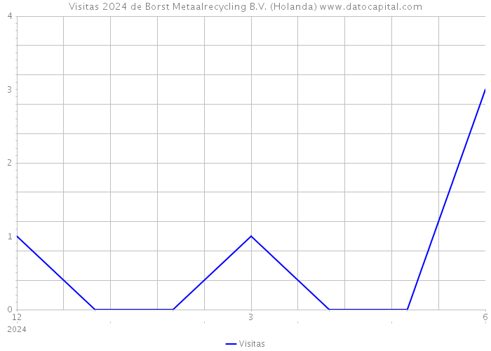 Visitas 2024 de Borst Metaalrecycling B.V. (Holanda) 