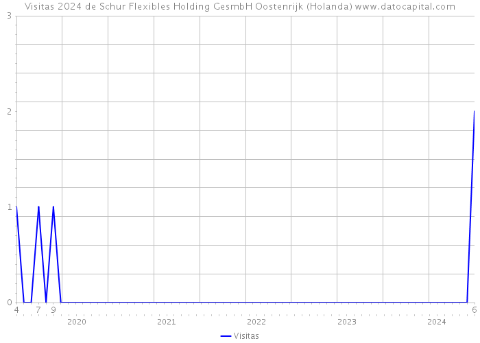 Visitas 2024 de Schur Flexibles Holding GesmbH Oostenrijk (Holanda) 