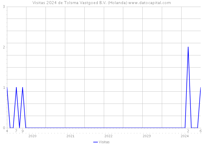 Visitas 2024 de Tolsma Vastgoed B.V. (Holanda) 