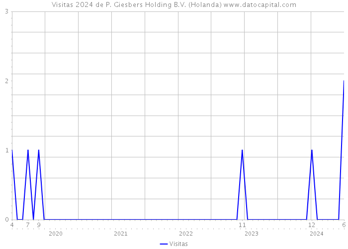 Visitas 2024 de P. Giesbers Holding B.V. (Holanda) 