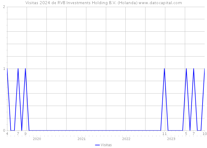 Visitas 2024 de RVB Investments Holding B.V. (Holanda) 