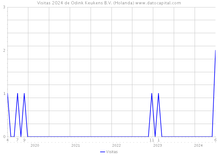 Visitas 2024 de Odink Keukens B.V. (Holanda) 