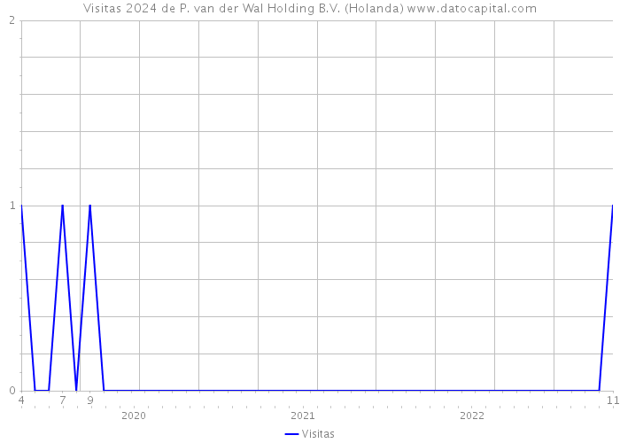 Visitas 2024 de P. van der Wal Holding B.V. (Holanda) 