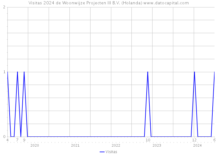 Visitas 2024 de Woonwijze Projecten III B.V. (Holanda) 