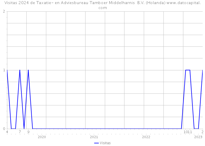 Visitas 2024 de Taxatie- en Adviesbureau Tamboer Middelharnis B.V. (Holanda) 