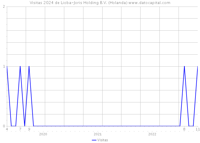 Visitas 2024 de Lioba-Joris Holding B.V. (Holanda) 