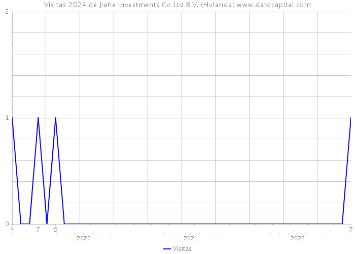 Visitas 2024 de Jiahe Investments Co Ltd B.V. (Holanda) 
