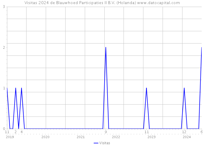 Visitas 2024 de Blauwhoed Participaties II B.V. (Holanda) 