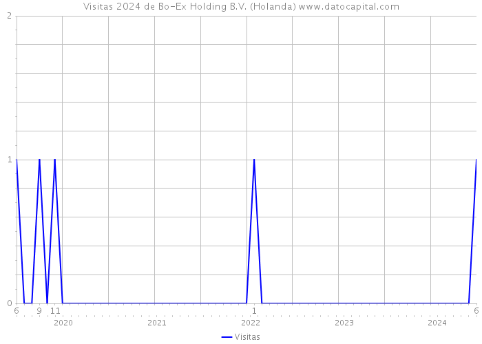 Visitas 2024 de Bo-Ex Holding B.V. (Holanda) 